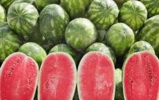 Корисні поради Як вибрати кавун?